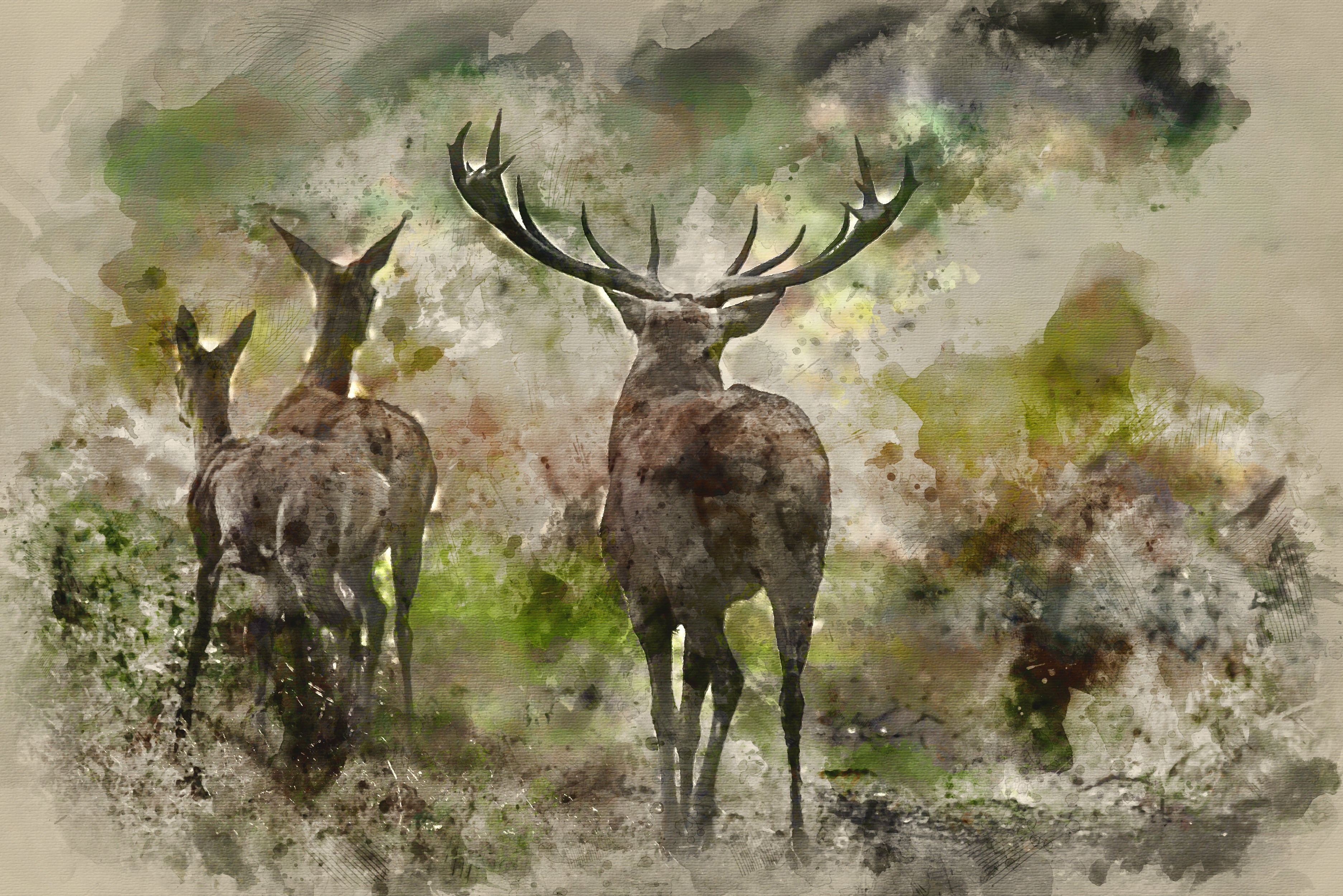 The Top 10 - Best Poems About Animals