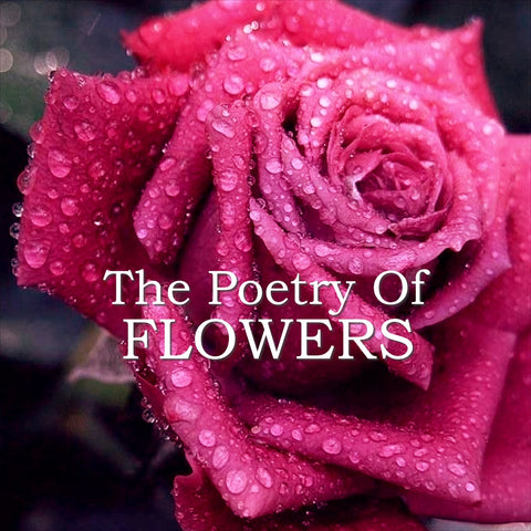 The Poetry of Flowers (Audiobook) - Deadtree Publishing