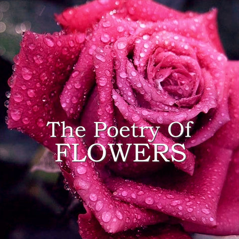 The Poetry of Flowers (Audiobook) - Deadtree Publishing