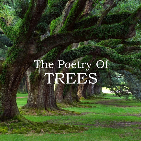 The Poetry Of Trees (Audiobook) - Deadtree Publishing