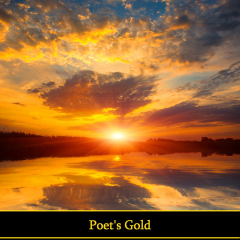 Poet's Gold  (Audiobook) - Deadtree Publishing - Audiobook - Biography