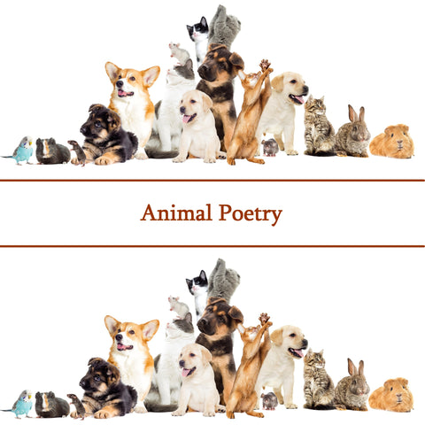 The Poetry Of Animals (Audiobook) - Deadtree Publishing - Audiobook - Biography
